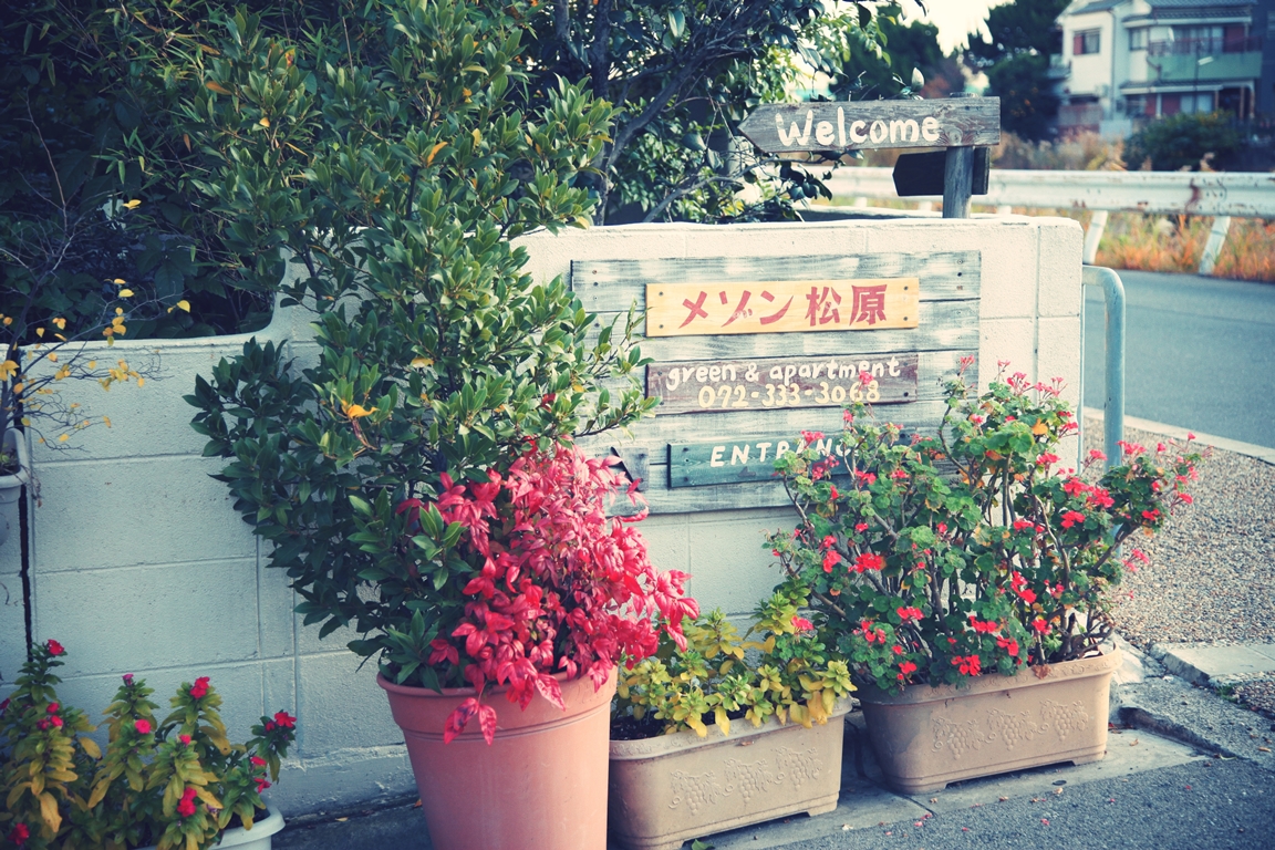 メゾン松原 入口看板 長尾街道沿い 2014 秋 (eos 5d2 ef24-105mm + Toycamera Analogcolor)