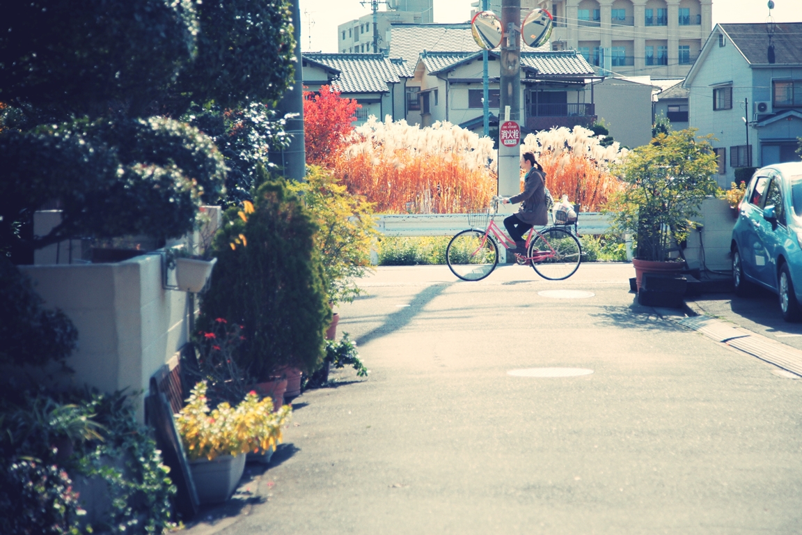メゾン松原 事務所前通路 メゾン松原事務所前 2014 (eos5d2 ef24-105mm + Toycamera Analogcolor)